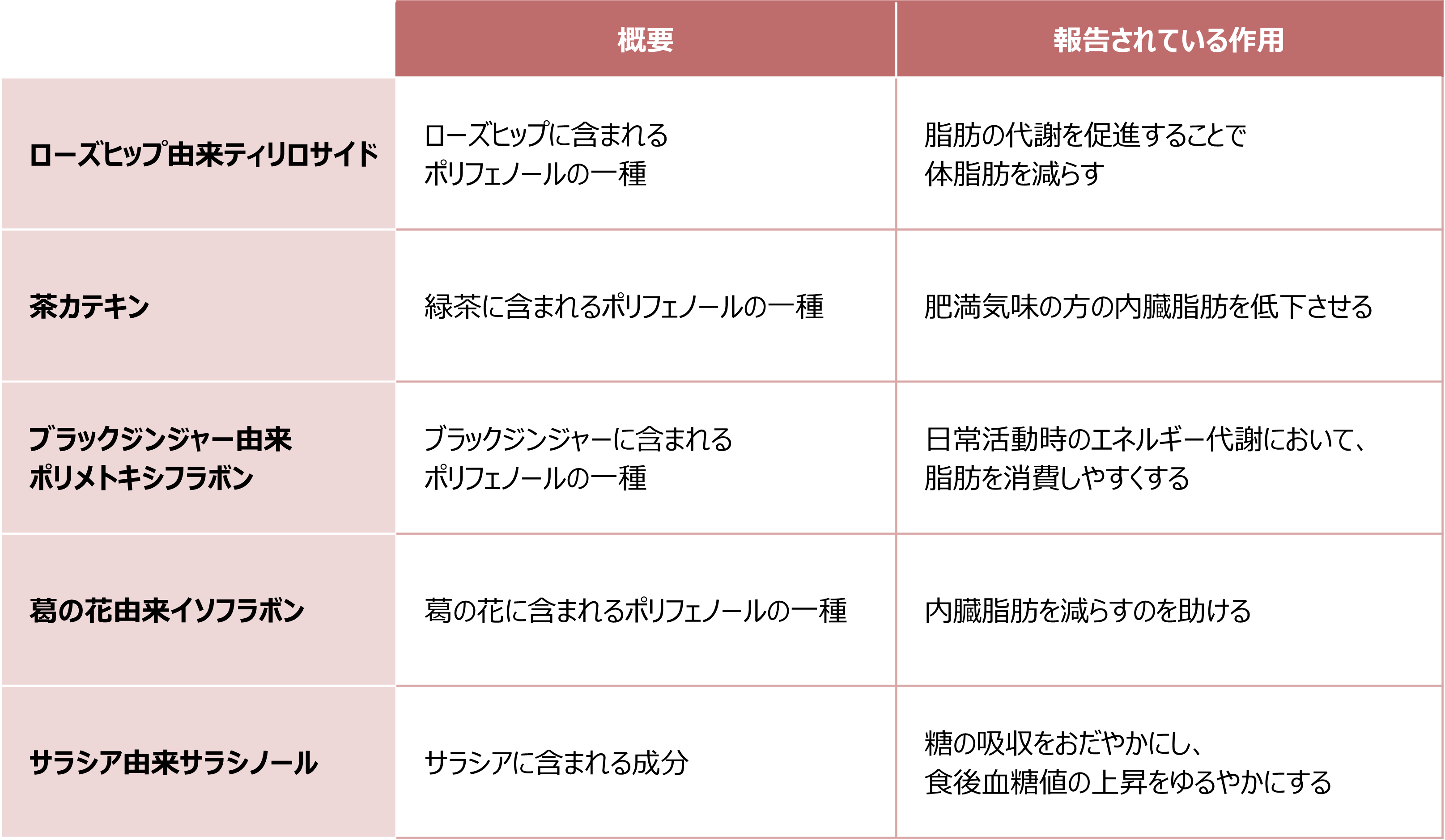 脂肪燃焼と糖の吸収抑制に役立つ成分